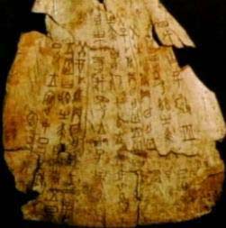Oracle Bone Inscriptions 